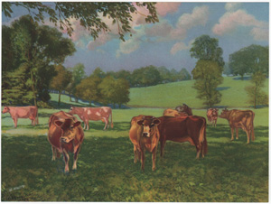 Vintage Calendar Art cows, cattle, livestock, farm life, etc.